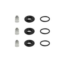 Electronic Injection Kits