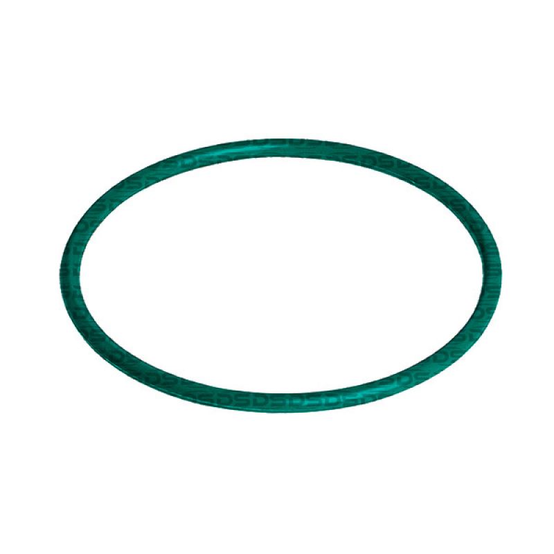 Guarnição da Flange do Módulo de Combustível