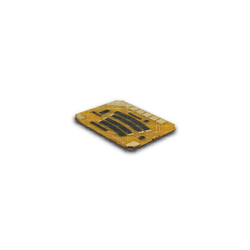 Accelerator Pedal Position Sensor (APP)