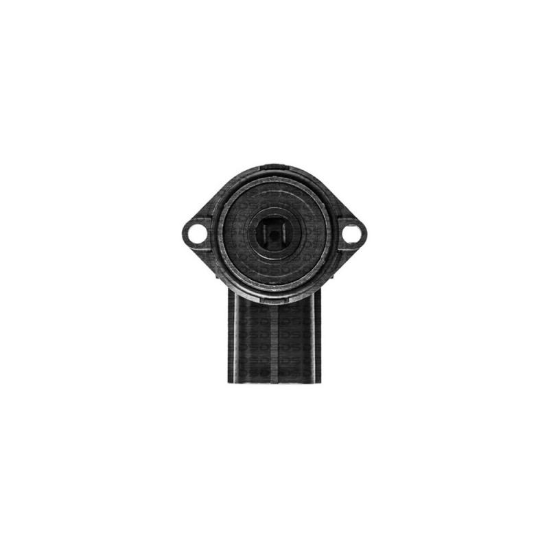 Throttle Position Sensor (TPS)