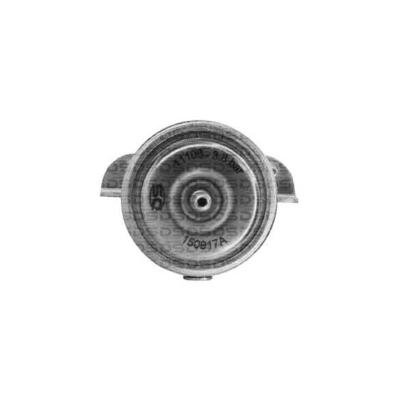 Regulador de Presión de Combustible