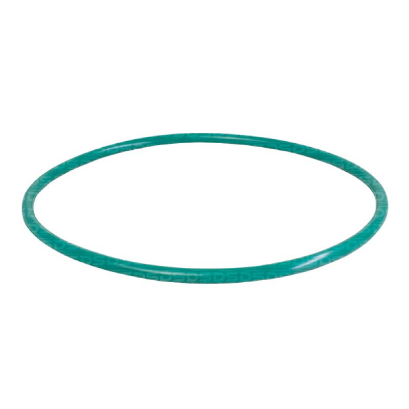 Guarnição da Flange do Módulo de Combustível