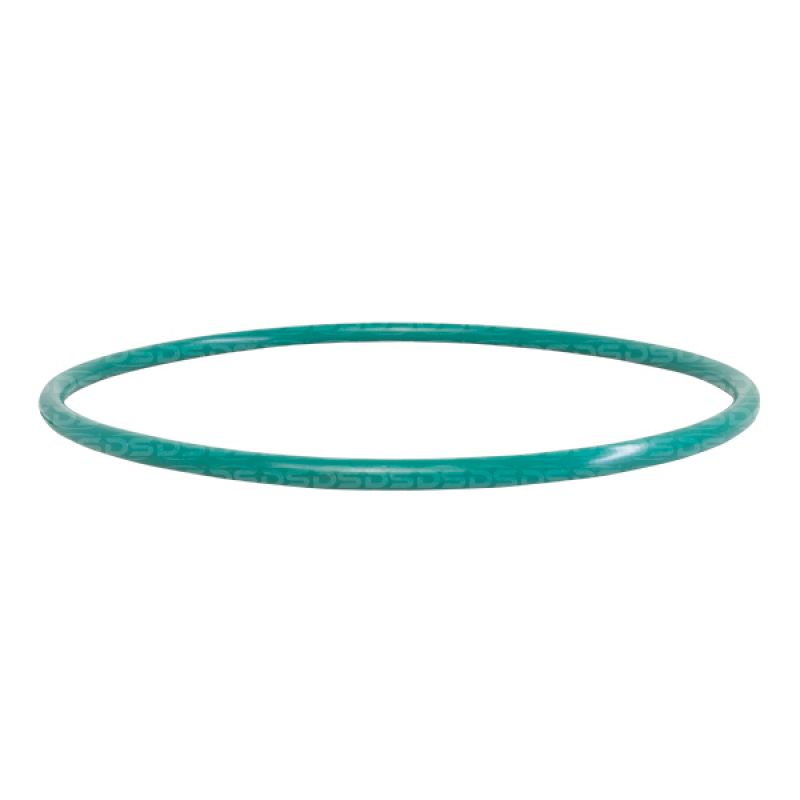 Guarnição da Flange do Módulo de Combustível