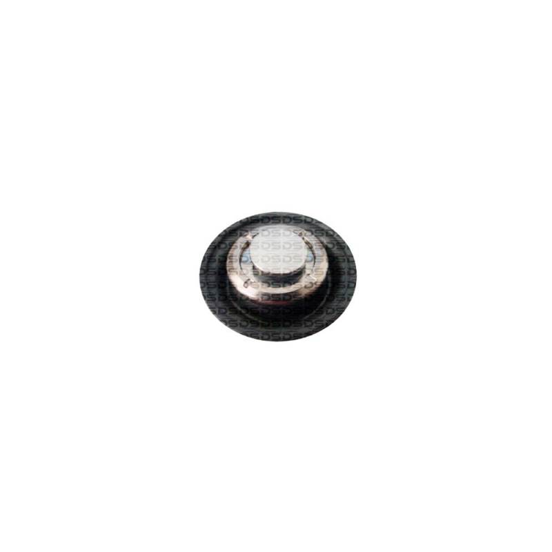 Diaphragm