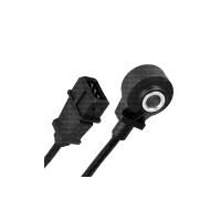 Knock Sensor (KS)