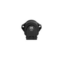 Accelerator Pedal Position Sensor (APP)