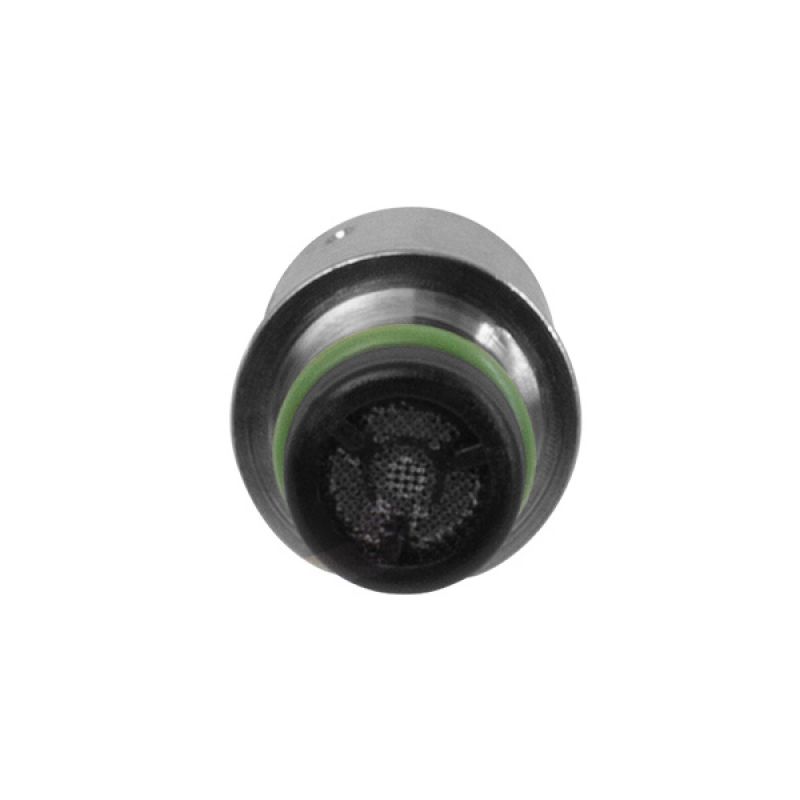 Fuel Pressure Regulator