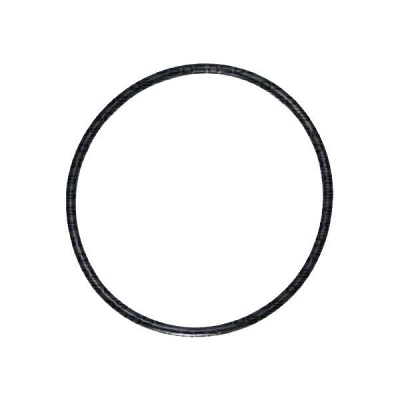 Guarnição da Flange do Módulo de Combustível