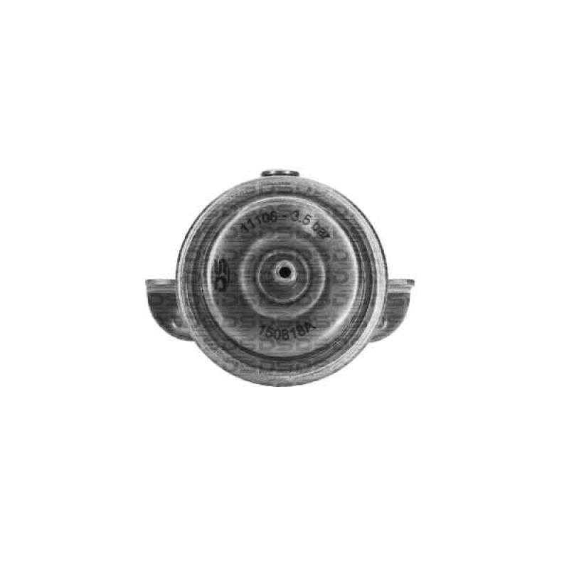 Regulador de Presión de Combustible