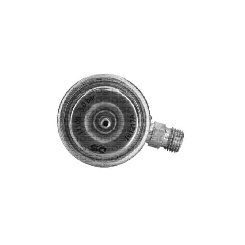 Regulador de Presión de Combustible