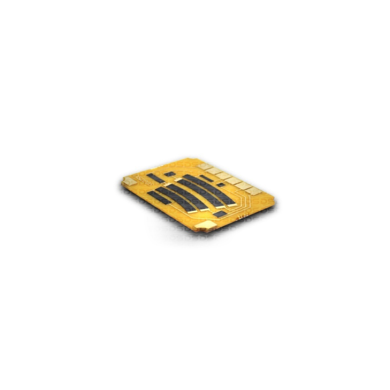Accelerator Pedal Position Sensor (APP)