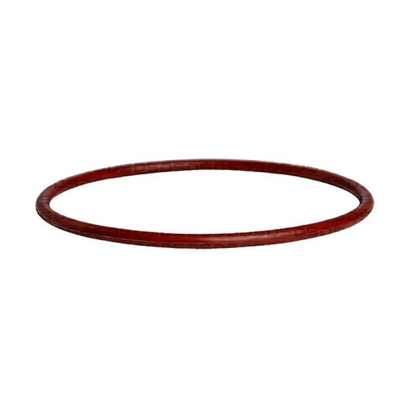 Fuel Module Seal Ring