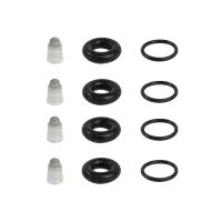 Electronic Injection Kits