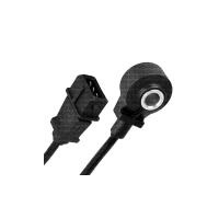 Knock Sensor (KS)