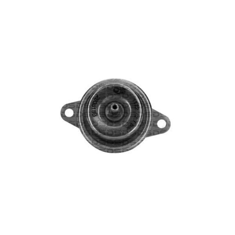 Fuel Pressure Regulator